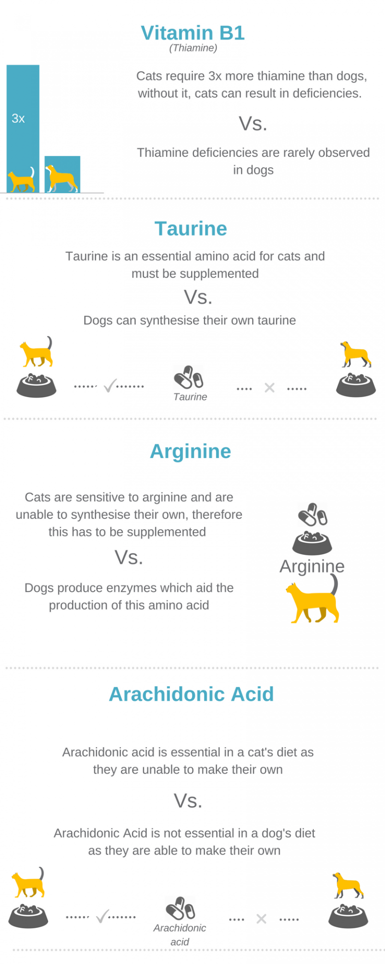 Feeding requirements for cats and dogs